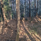 主郭を囲む土塁（西側）