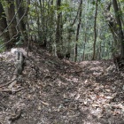 畝状竪堀群の一部