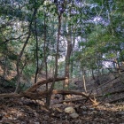 西の段西側の堀切