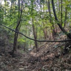 登城口からすぐの堀切