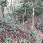 ⑥	大友時代の竪堀