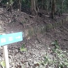 ⑦	ずらりと続く神籠石（自然遊歩道）