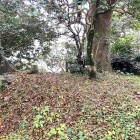 ⑦	大友時代の物見櫓跡