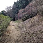 ③	本曲輪下東側にある横堀