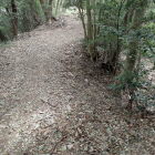 ⑥堀切？(この先が２郭)