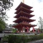 ⑤金剛寺の五重塔