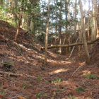 四号堀と角馬出(左)