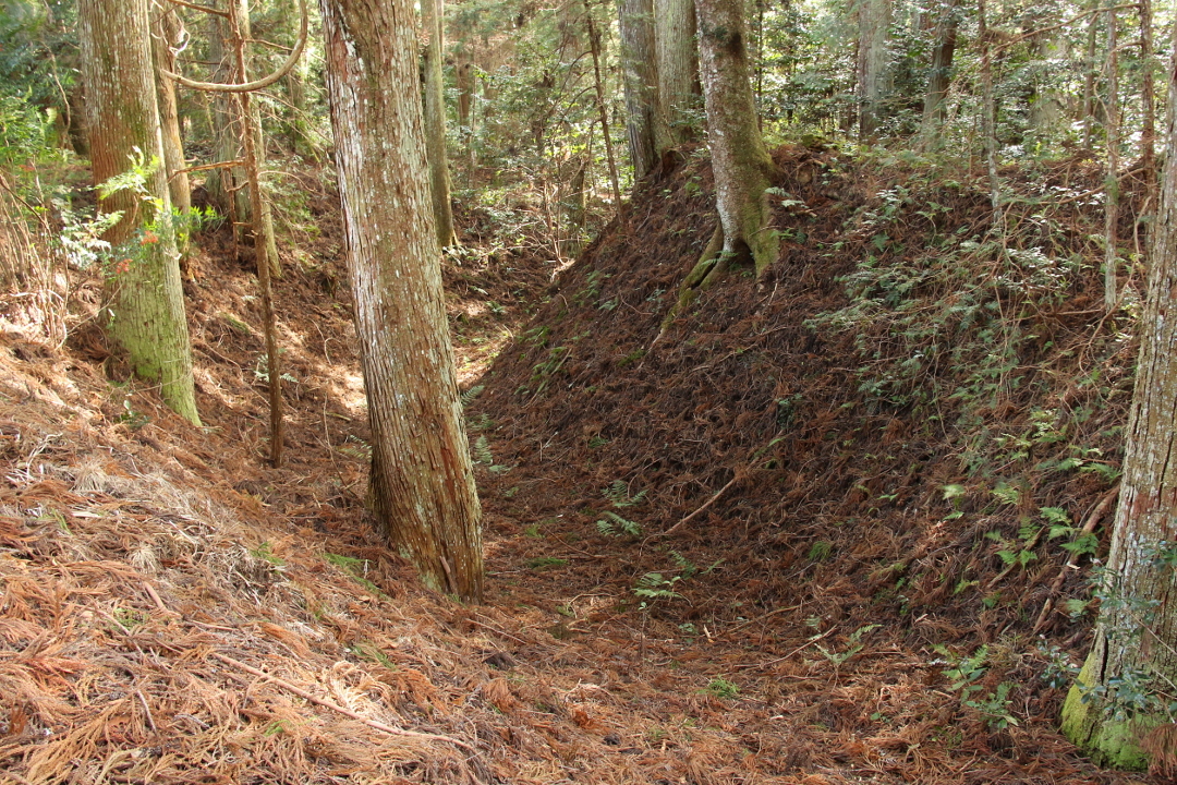 三号堀と丸馬出(右)