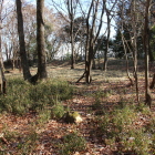 土塁に囲まれた本丸