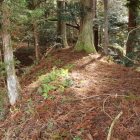 二号堀(左)と一号堀(右)間の土塁