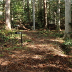 土橋と土塁が巡る丸馬出(奥)