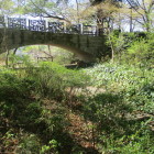 堀底から橋を見上げてみました