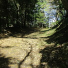 三の丸下の帯曲輪。左が土塁