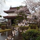 現存大手門と桜