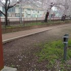 ⑤三ノ丸掘　標柱