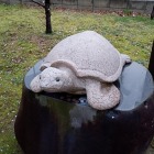 八幡神社の亀さん