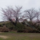 粡町公園の土塁