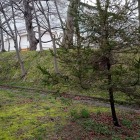 八幡神社の二の丸土塁