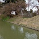 土橋上から本丸の水堀と土塁