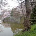 ④二の丸西不明門　土塁上より