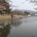 宝珠橋から見た水堀