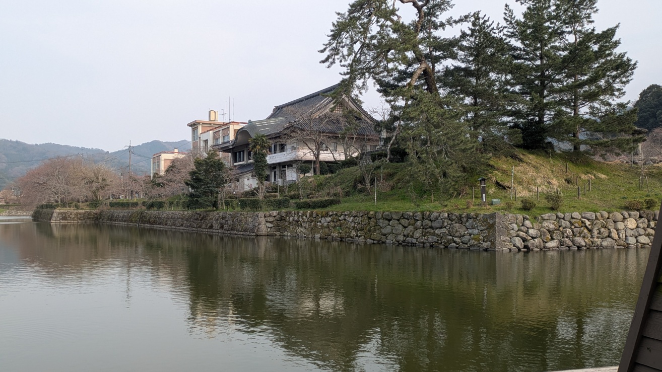 櫓台跡・二ノ丸の黒松