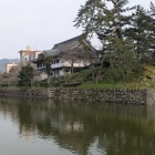 櫓台跡・二ノ丸の黒松