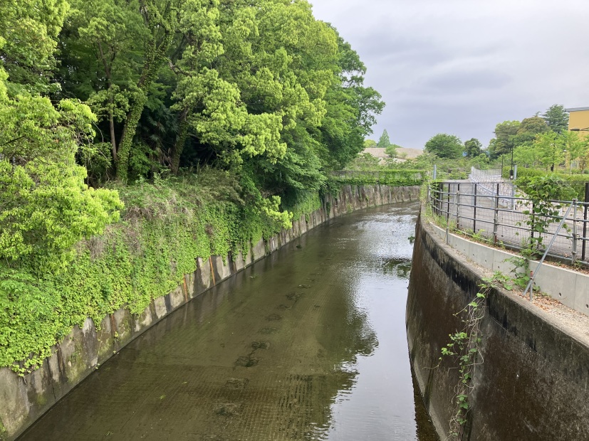 堀の跡？