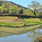 朝倉館跡