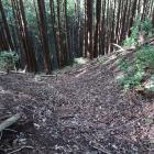 古城・西支尾根の竪堀