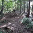 古城・北尾根の曲輪