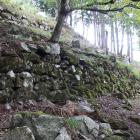 本丸とホオヅキ段南西面の石垣