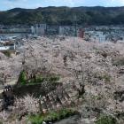 二の丸を見下ろす