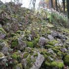 本丸西面の崩れた石垣