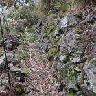 三の丸東面の石垣