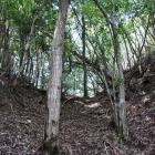 古城・主郭背後の堀切