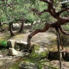 旧折井家・中庭