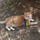 日向ぼっこ終了。今度は日陰で一息