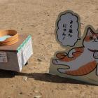 本丸のさんじゅーろーイラスト看板と御座所。畳縁もさんじゅーろー