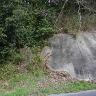 ここに降りてくることができました