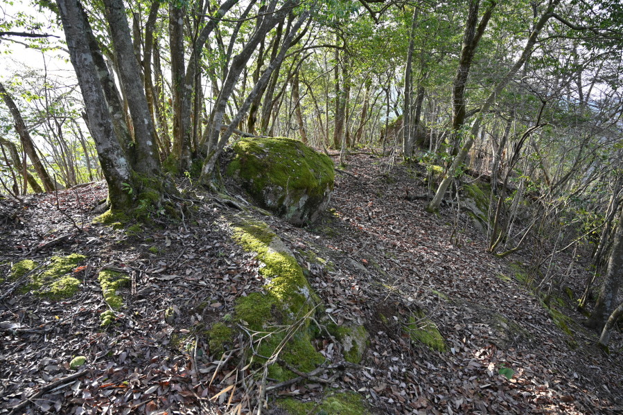 山頂の岩