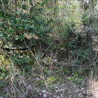 残念な状態の石垣周り