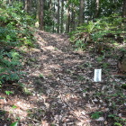 木野山社古墳群の表示