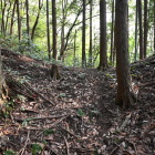 この堀切の右手が出丸