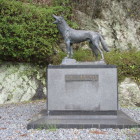 ニホンオオカミ