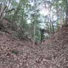 水の手曲輪付近堀切