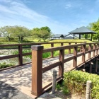 木橋