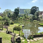 肥後細川庭園