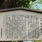 志木第三小学校校門ワキのパネル