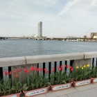 萬代橋より信濃川河口方向